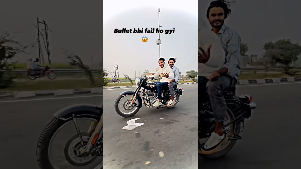 power me hum #publicreaction #pigeonlover #pigeon #kabutar #shortvideo #trending #viralvideo #shorts