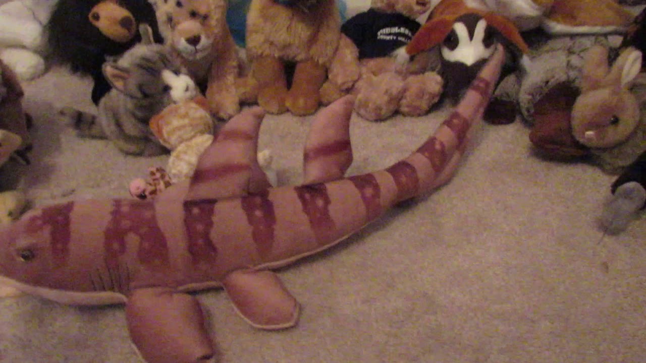 Update: All of my NEWEST stuffed animals to my collection