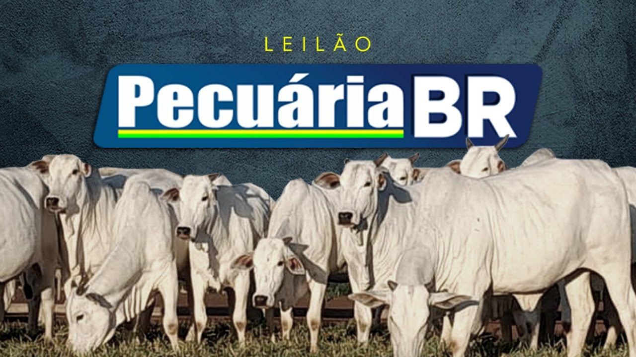 LEIL&Atilde;O PECU&Aacute;RIA BR