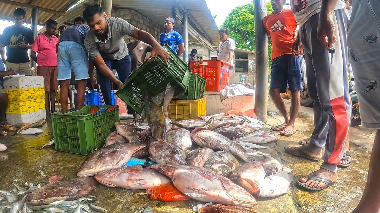 Ух ты! Свежая рыба на рынке свежих морепродуктов в рыбацкой деревне, праздник свежих морепродуктов