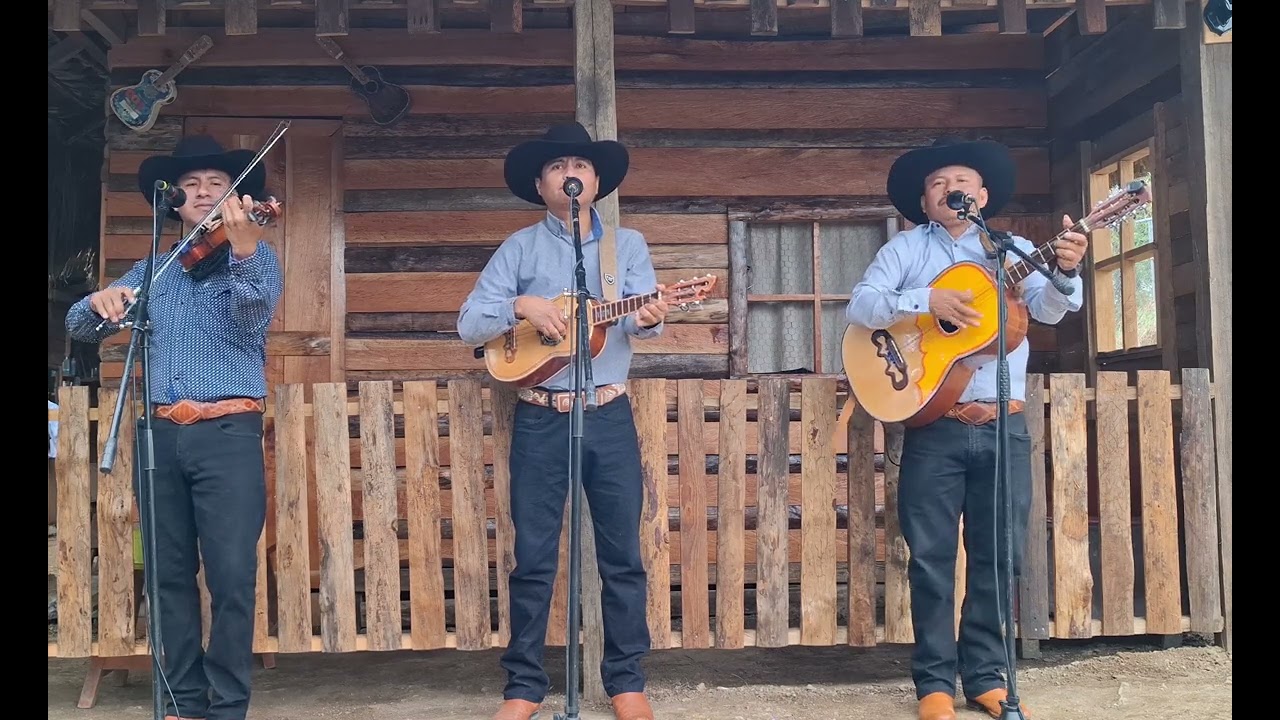 🎶🎵La Azucena Bella🎶🎵