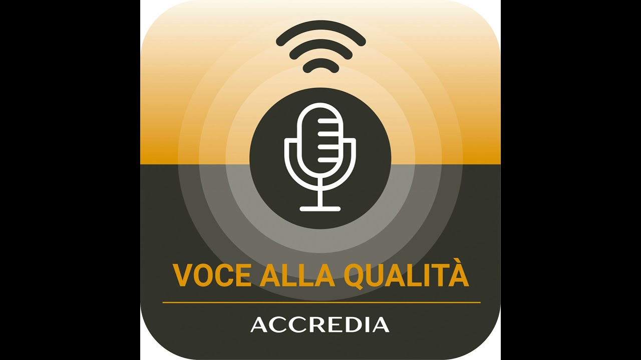 Intervista a Roberto Scano e Pasquale Popolizio, esperti di accessibilità informatica e competenz...