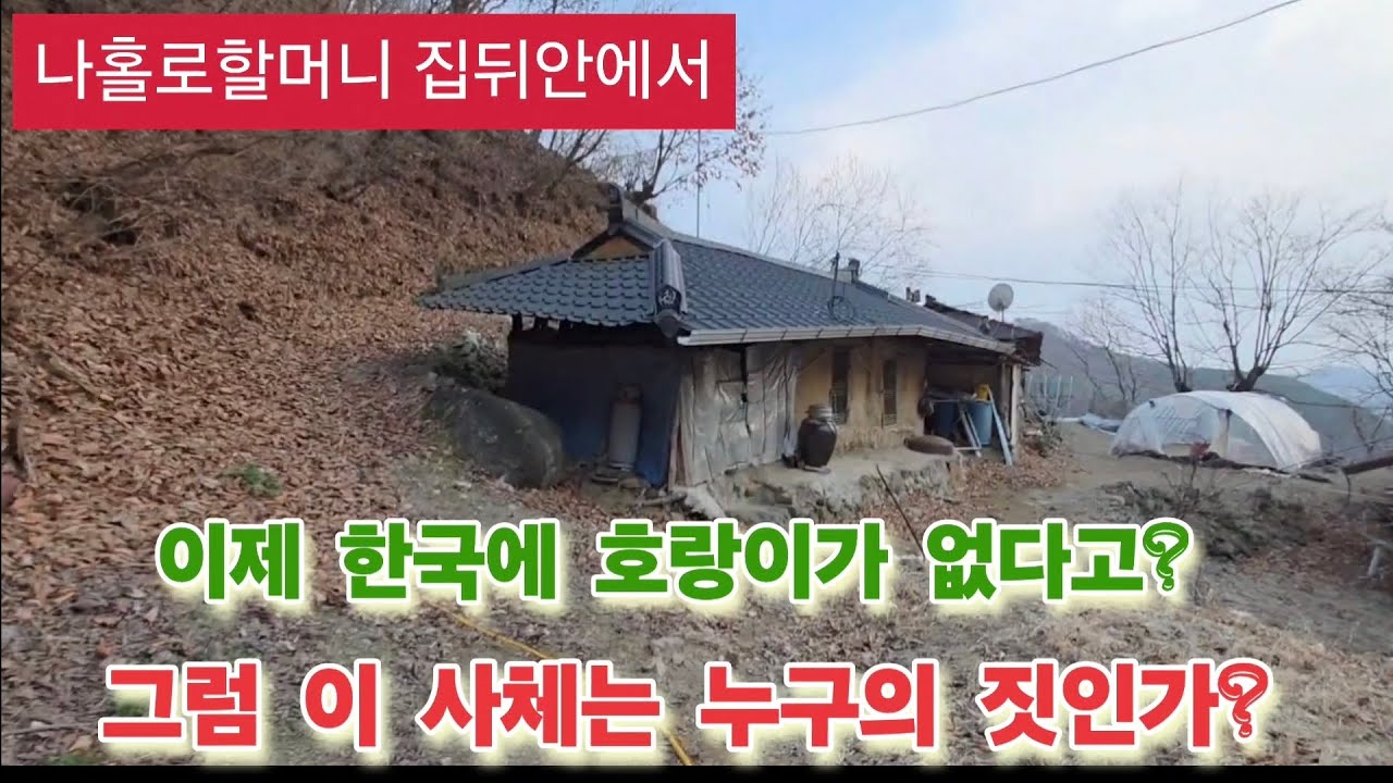 하필 홀로계신 할머니 집뒤안에 큰 이빨에 물어뜯긴 사체는 누구의 짓인가?