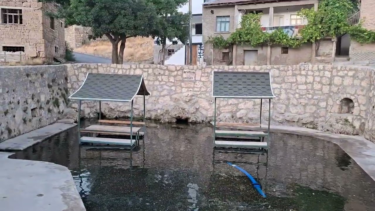 Çağşak