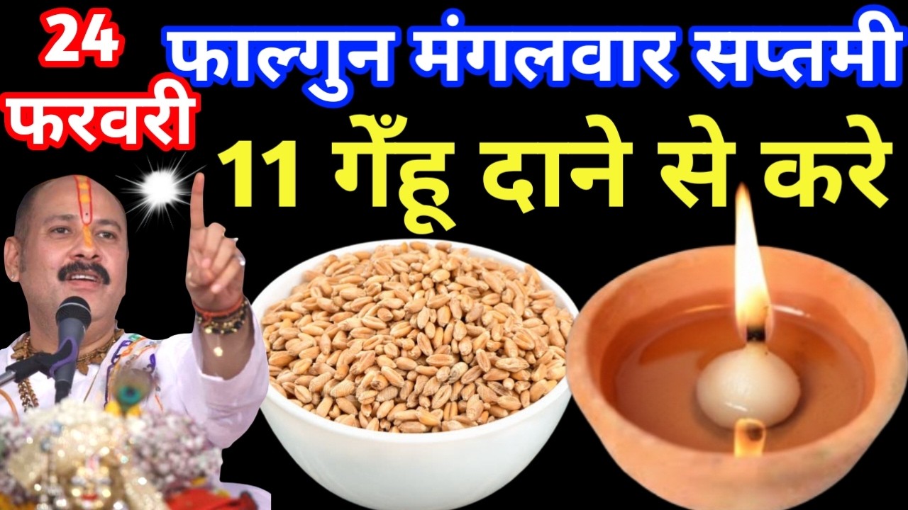 24 फरवरी फाल्गुन मंगलवार सप्तमी तिथि के दिन 11 गेंहू के दाने वाला उपाय जरुर करे || Pradeep Ji Mishra