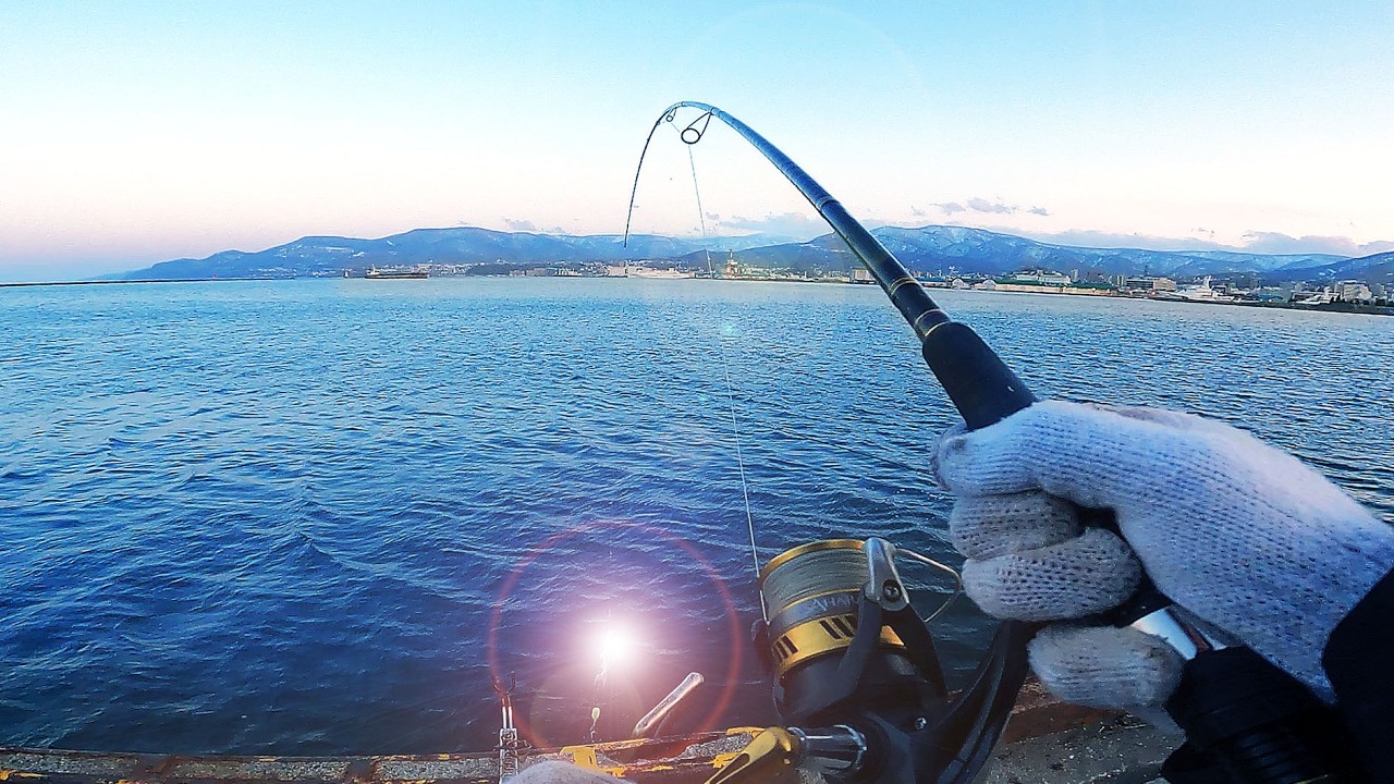 【北海道石狩湾・小樽釣り】大きな〇〇〇が釣れる季節になりました。2026.4.12　北国の生活（カレイ、小樽港厩町岸壁、投げ釣り、サビキ釣り、投光器）