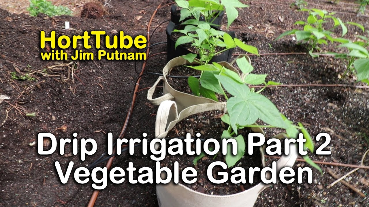 How to Install Drip Irrigation - Part 2 Vegetable Garden