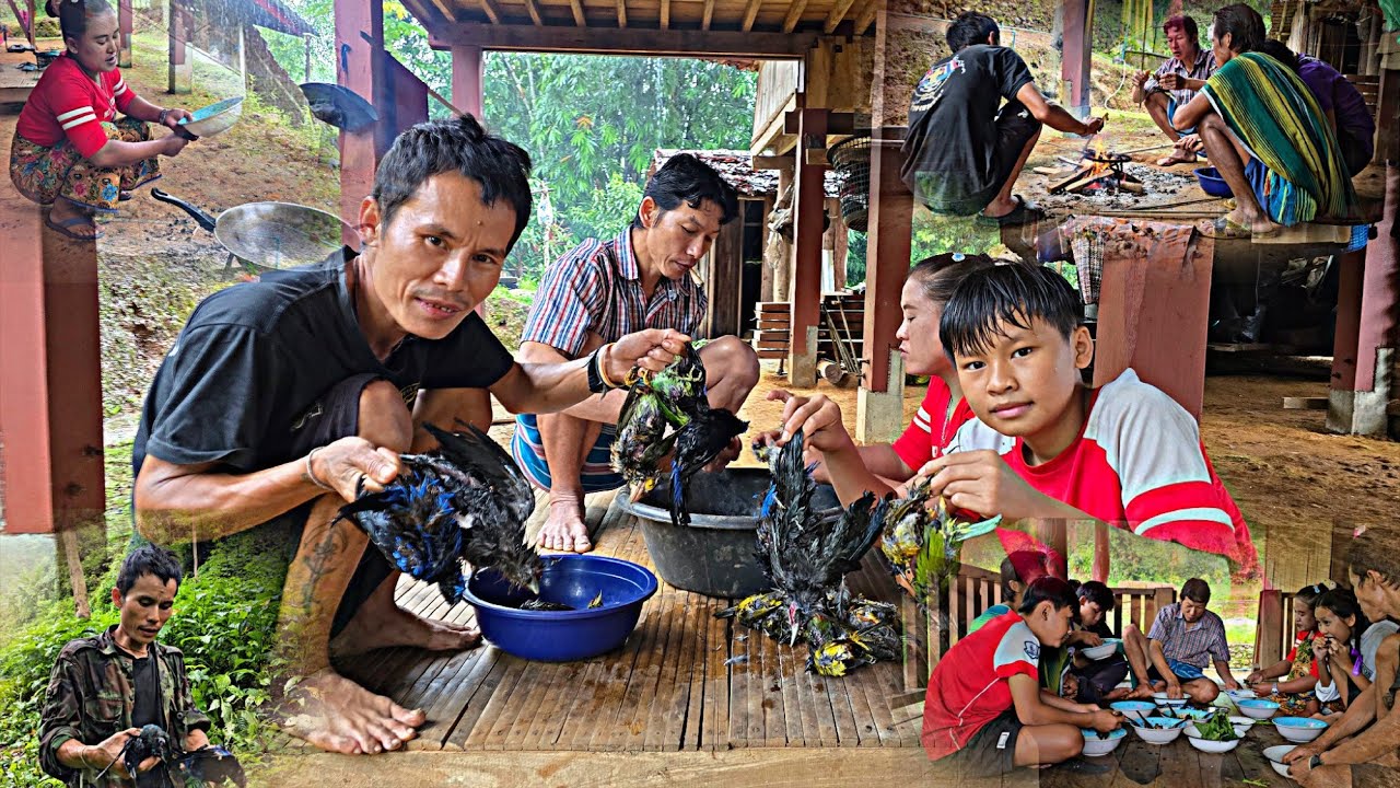 Going into the forest to shoot birds again. ( Karen food.)  27/8/2025
