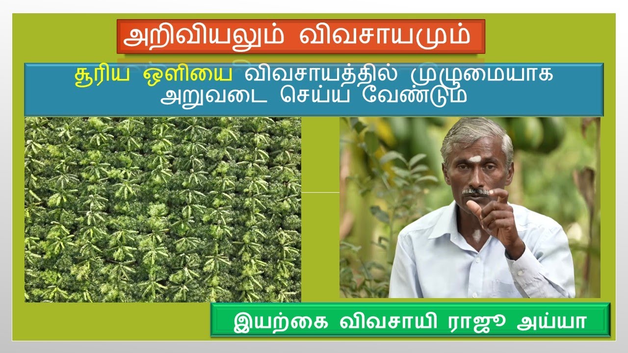 1 ஏக்கரில் பல லட்சம் வருமானம் பல அடுக்கில் சாகுபடி| 5 layer Farm|அறிவியல் கலந்த விவசாயம்| ammaponnu