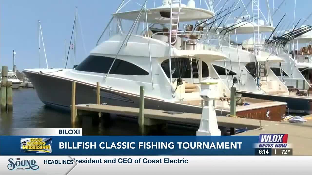 Gulf Coast Billfish Classic brings big boats, big fish, big money to Biloxi