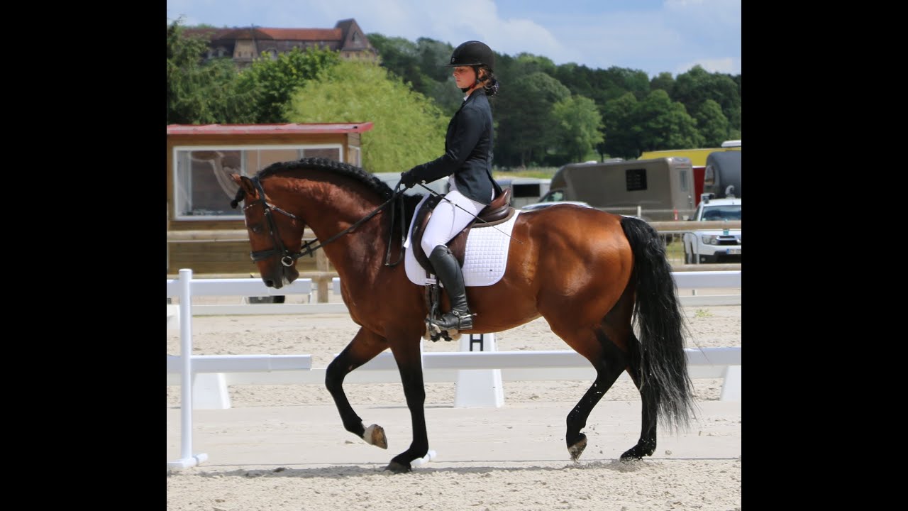 Olimpo Vittel 06 24