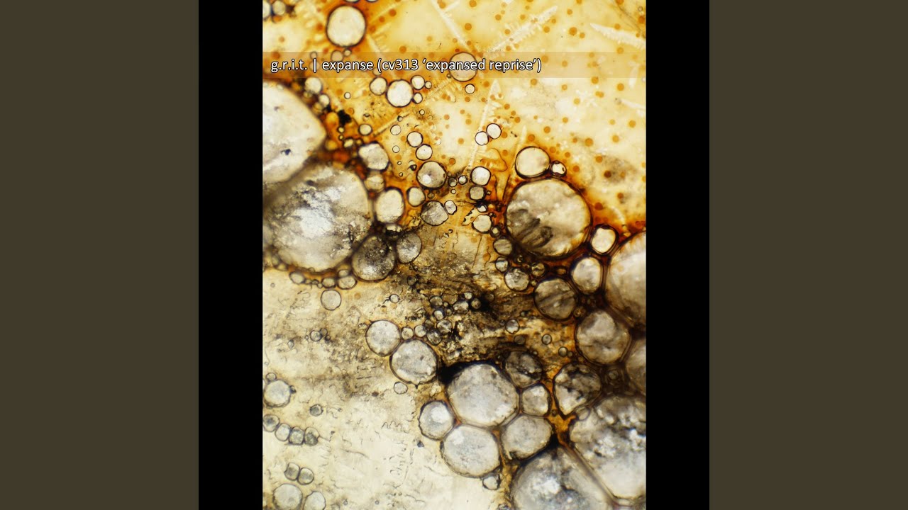 Expanse (Cv313 'expansed Reprise')