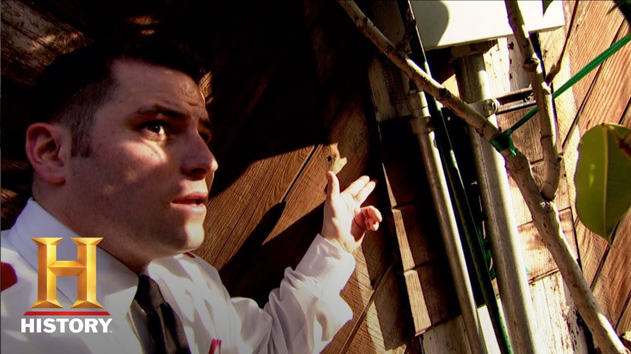 Modern Marvels: Rats In Your House | History