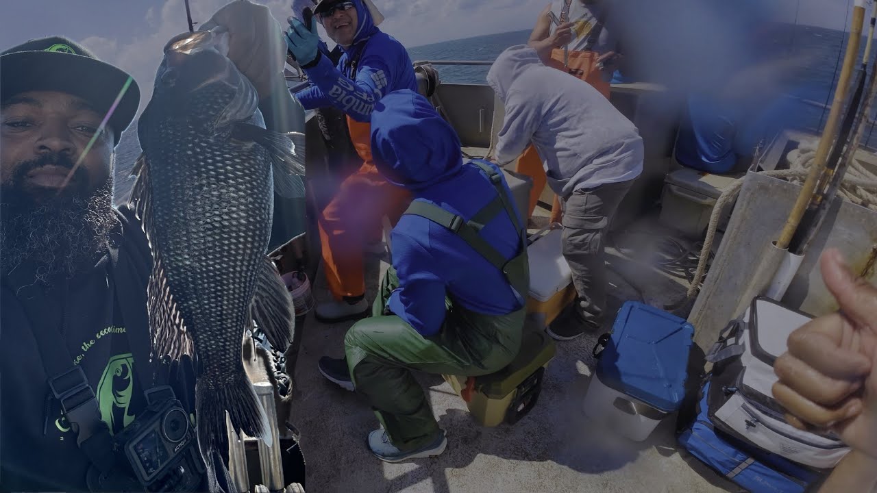 SEA BASS SLAUGHTER! Non-stop action on the Big Jamaica fishing charter- Brielle, New Jersey.