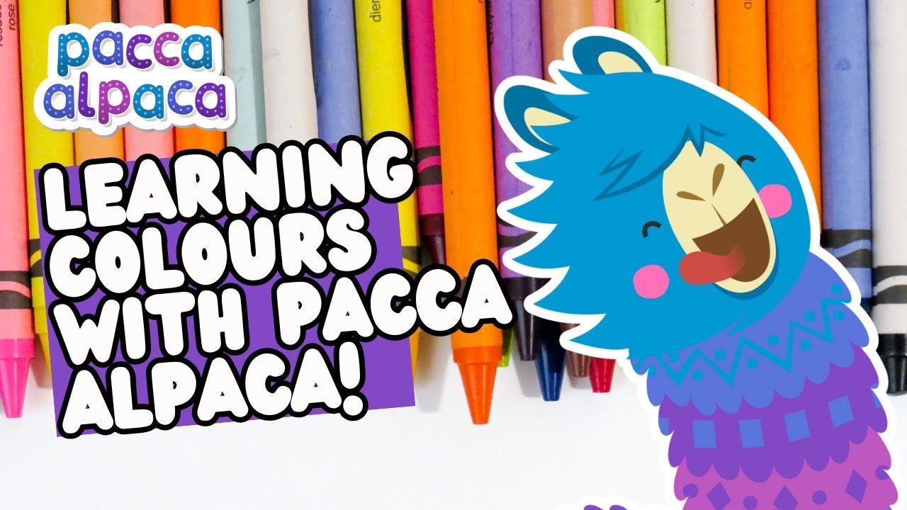 Colorful Fun with Pacca Alpaca! 🌈 | Learn All About Colors