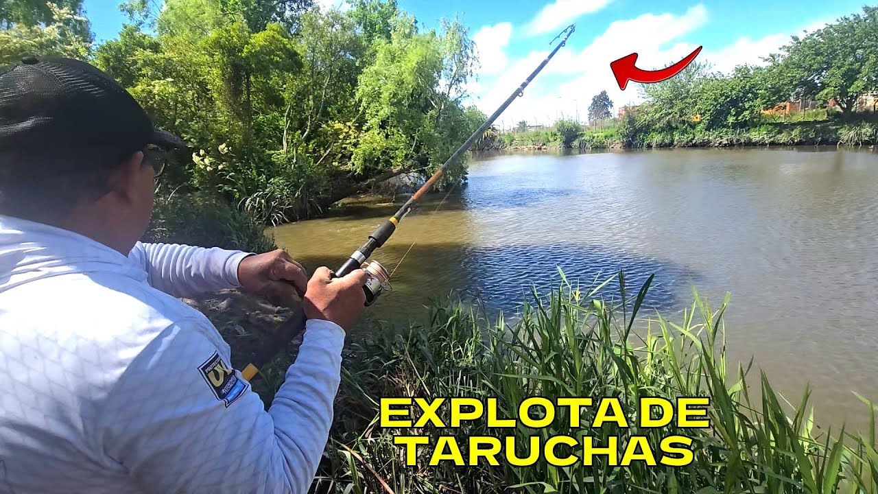 LUGAR GRATIS DE PESCA, QUE ESCONDE BESTIAS! PESCA DE FLOTE CON CARNADA BLANCA, PESCANDO EN ARROYO...
