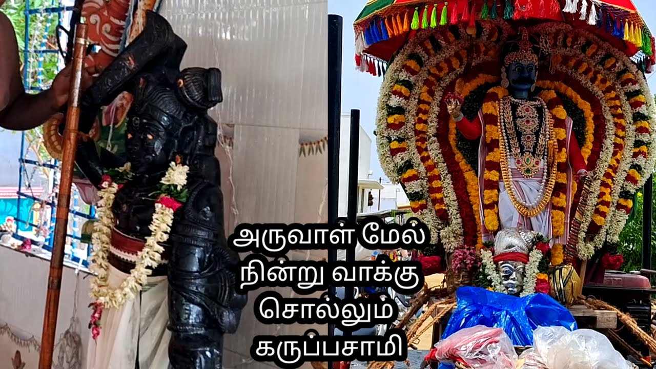 அருவாள் மேல்  நின்று அருள்வாக்கு சொல்லும்|  ஸ்ரீ பாலகாட்டு கருப்பண்ணசாமி திருகோவில் | பரமத்தி வேலூர்