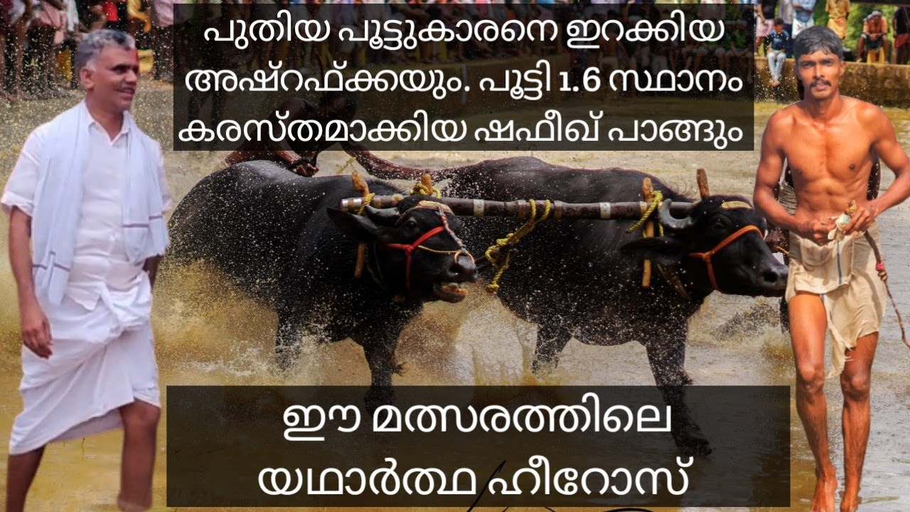 ചരിത്രം തിരുത്തി കുറിച്ച കണ്ടേകാവ് പോത്തുപൂട്ട്