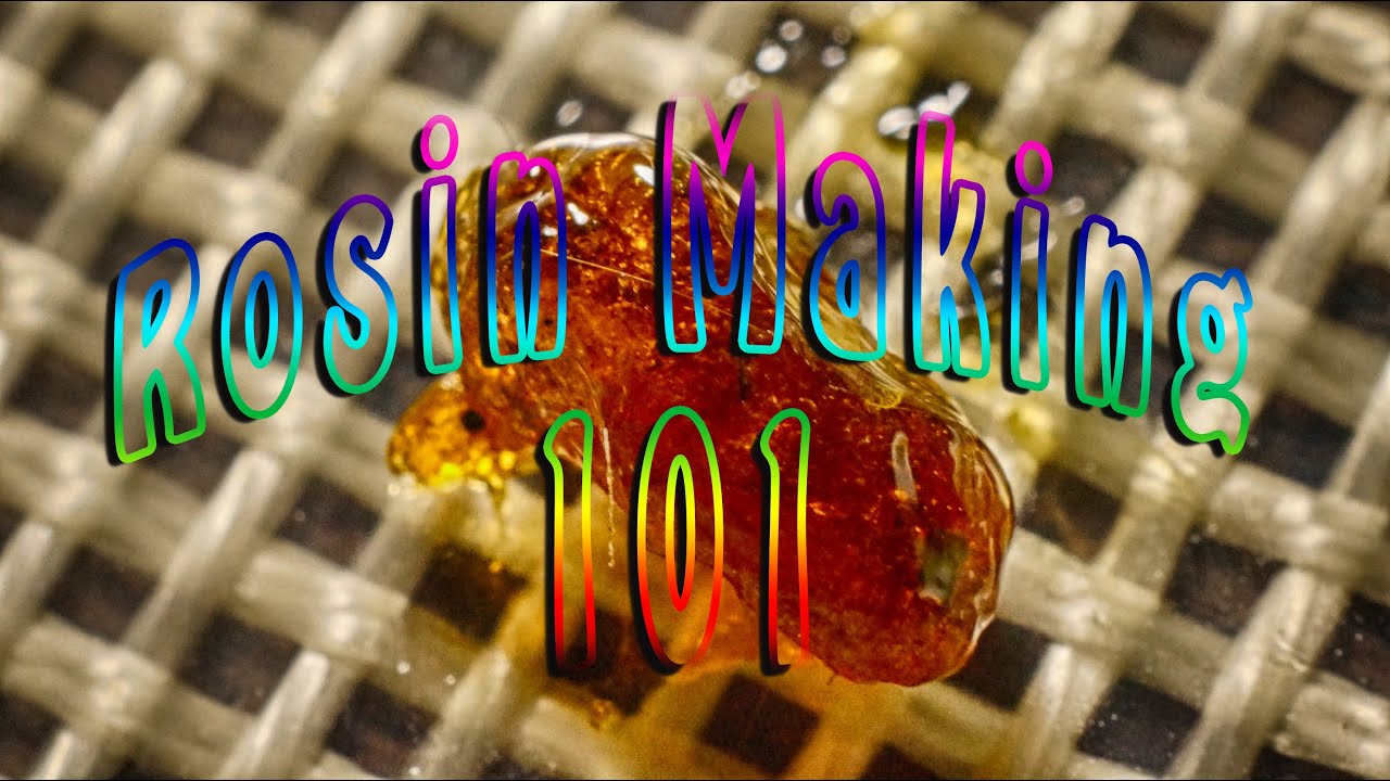 Making Black Cherry Punch Rosin - Rosin Making 101