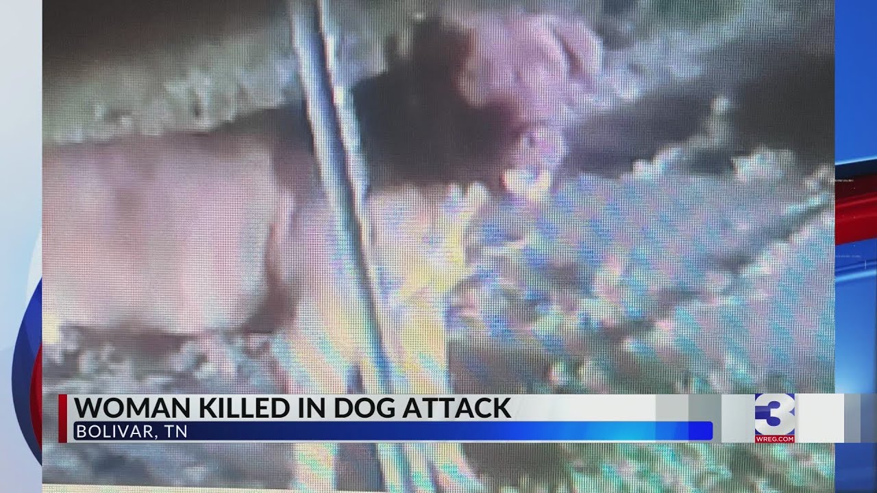 TN woman dead after dog attack; police warn public