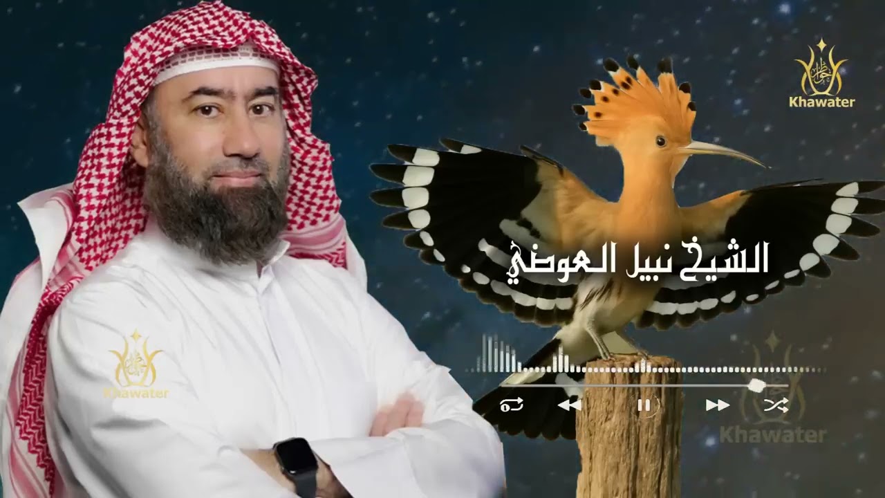 استكن وخلي القصة تأخذك لعالم آخر رحلة الى عالم الجن والمردة قصص قبل النوم 🎧 نبيل العوضي