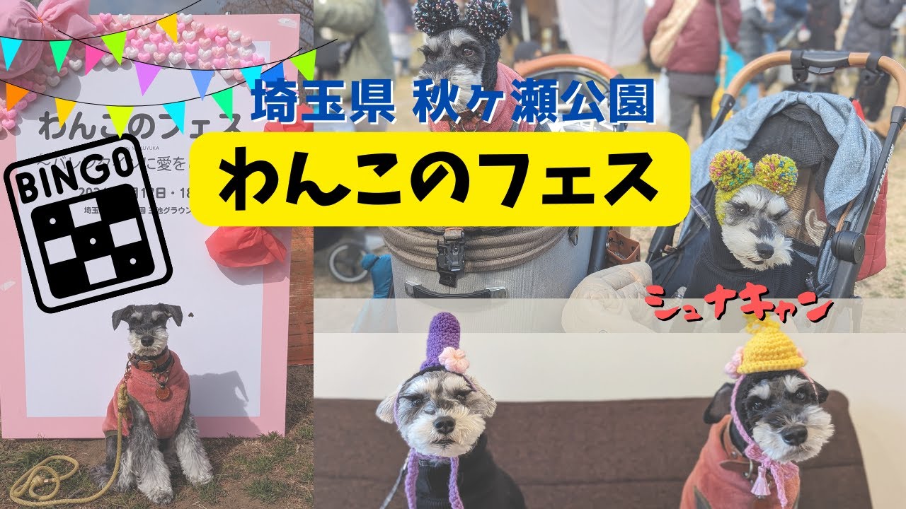 【イベント】埼玉県 秋ヶ瀬公園 『わんこのフェス』”見応えあるイベントで散財した件”