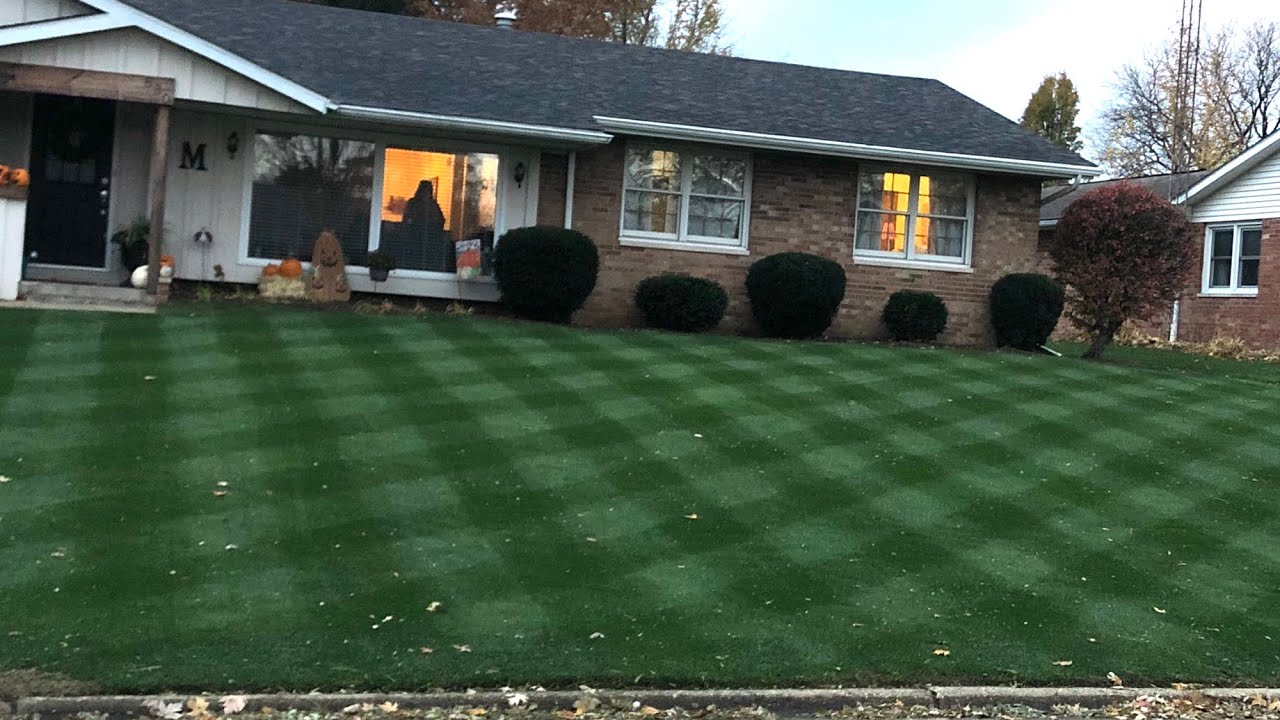 Is a Kentucky Bluegrass Overseed Possible?