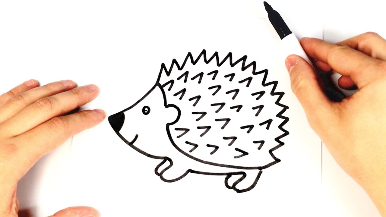 Cómo dibujar un erizo para niños paso a paso