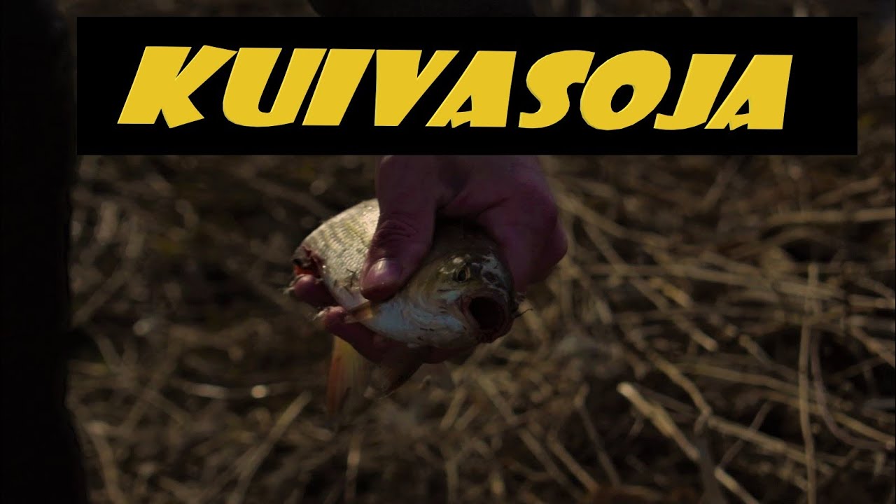Kalastus | Ongella Kuivasoja Oulu | Vinkkejä Onkimiseen
