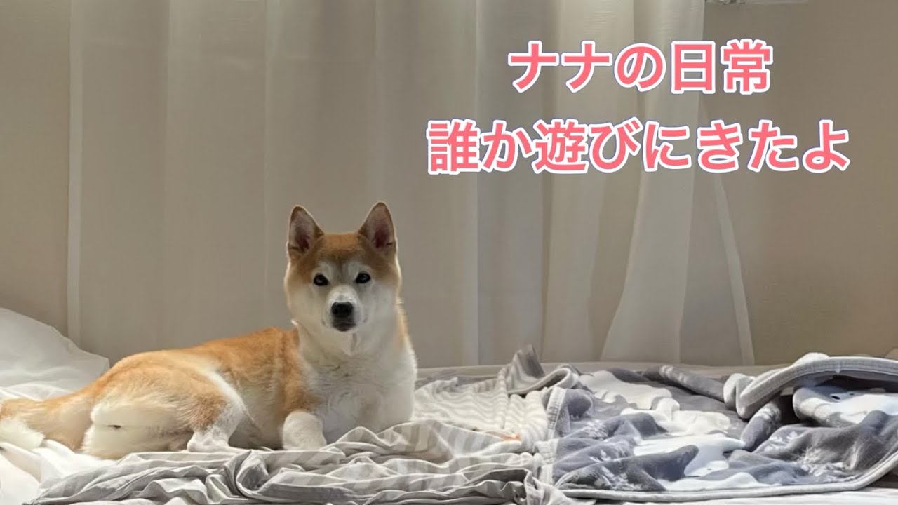 [大好きな人か来たよ] 嬉しくてはしゃいでみた