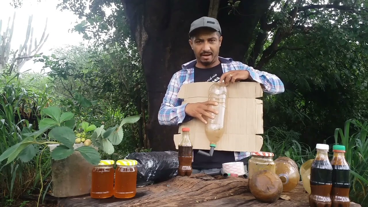 Como montar ISCA GARRAFA PET para captura abelha JATAÍ.