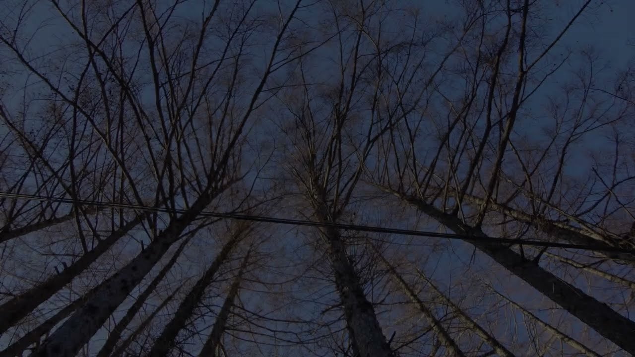 雪原(ブログ用)