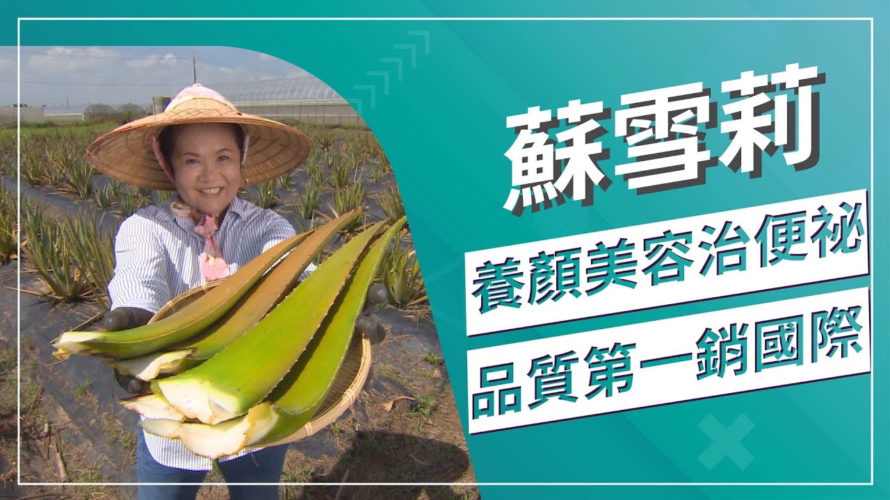 蘆薈養顏美容還可以消口臭?草地狀元20年前就與蘆薈結緣｜草地狀元 (2022.6.13播出)｜台南柳營