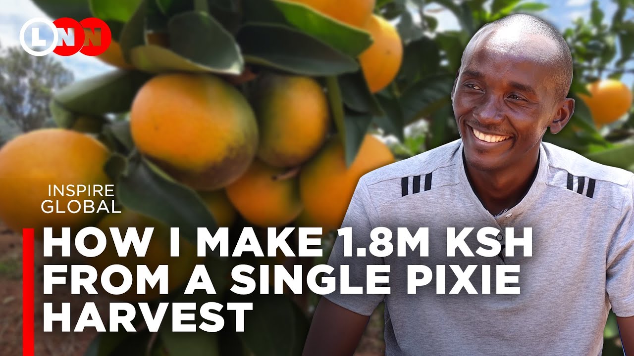 All you need to know about Pixie Farming, where the market is & how one tree can give you 500 pieces