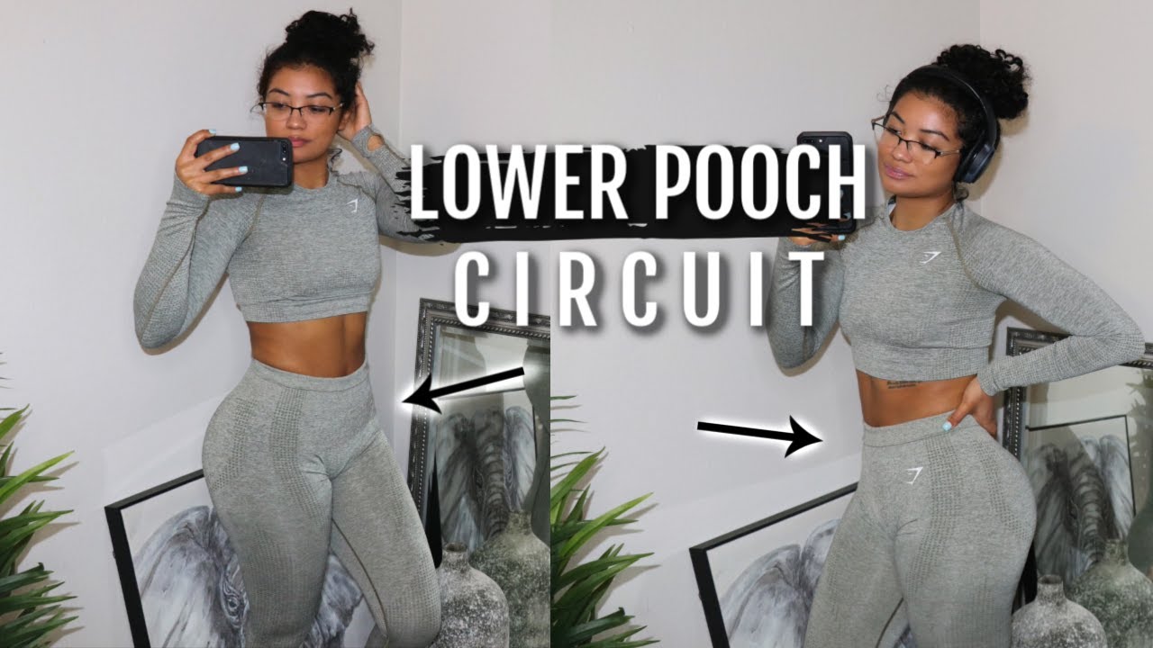 8 min LOWER ABS Workout -- No Equipment