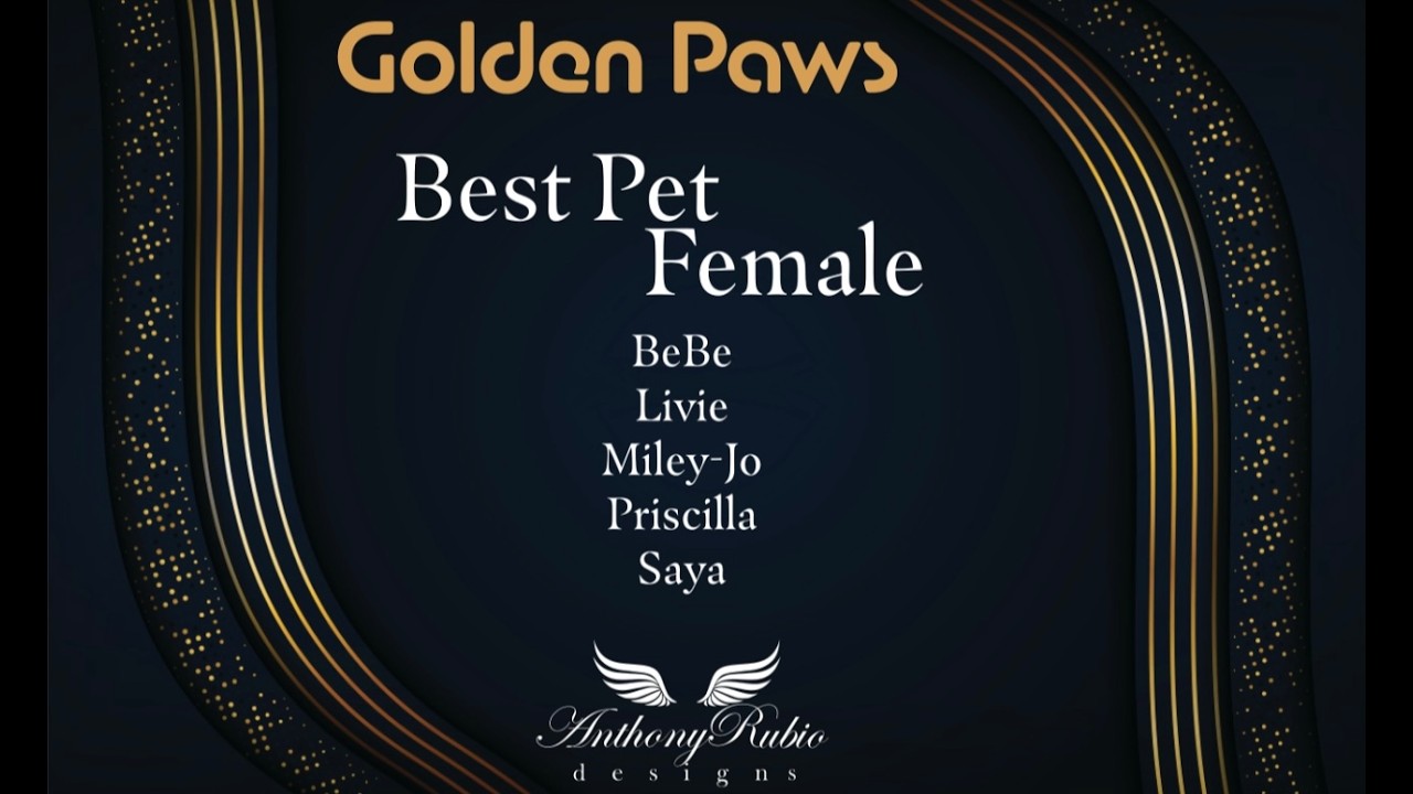 Anthony Rubio's Golden Paws - Part 3