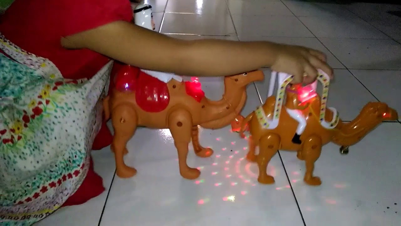 Aksi Acil : Unboxing Gift From Makkah | Desert Hero Camel
