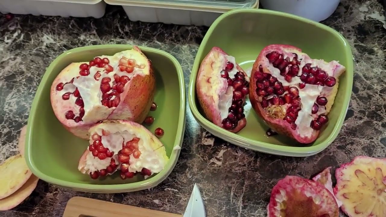 Sampling different ripeness Afganski / Russian26 pomegranate fruit grown in Zone 7a New Jersey