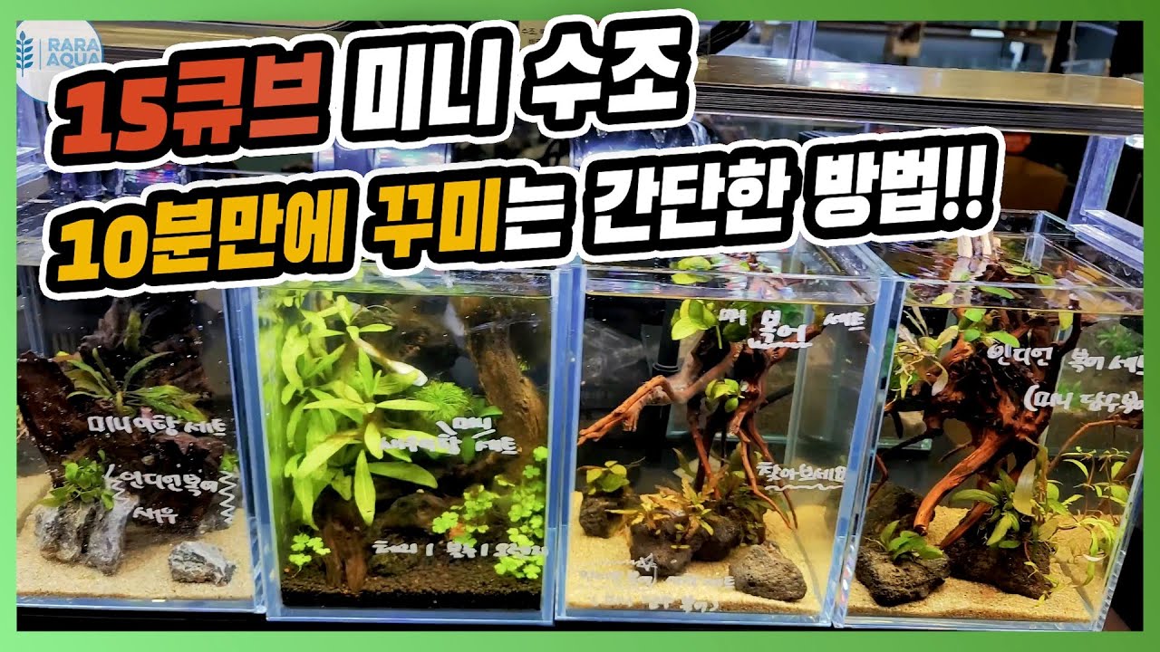 작은 수조를 10분만에 꾸미는 간단한 방법!
