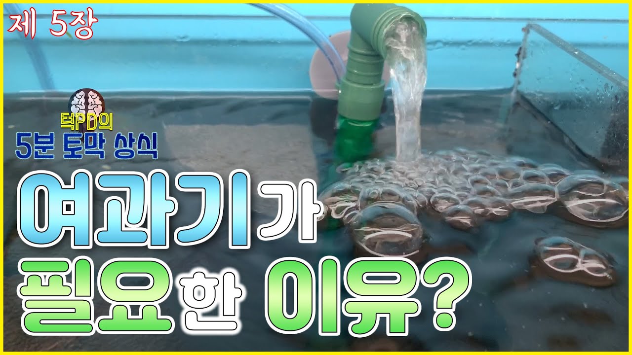 물생활에서 여과기는 왜 필요할까? 여과기의 원리와 필요성에 대해 알아보자!