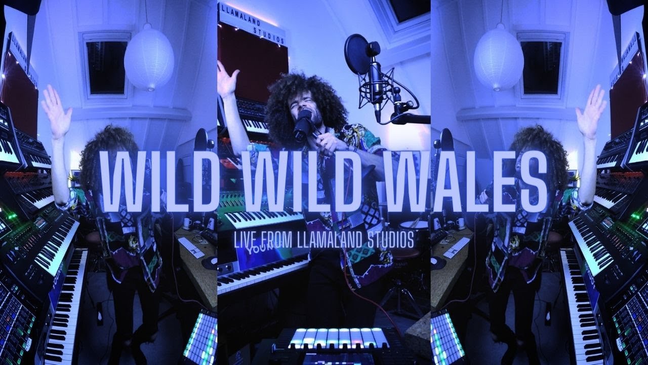 Youngr - Wild Wild Wales (Live From Llamaland Studios)