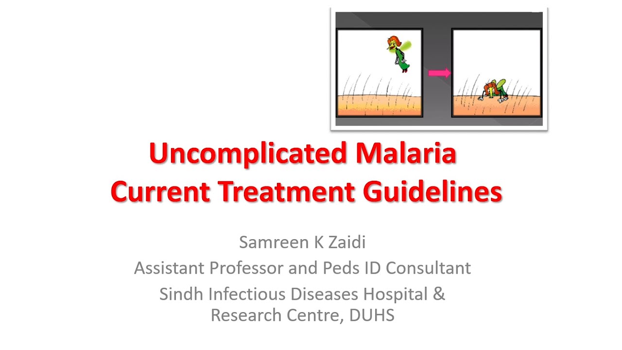 Uncomplicated Malaria: Current Treatment Guidelines 2024 | World Malaria Day 2024