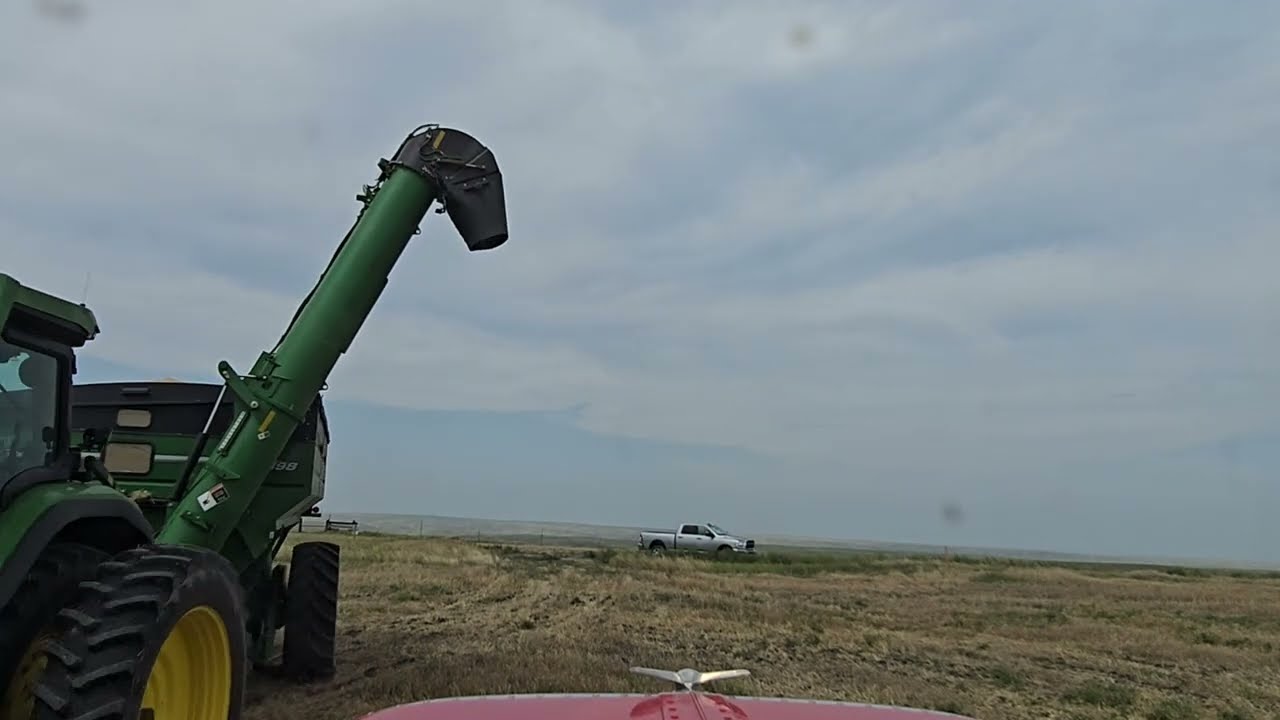 🚜 Gravel Road Trucking | Wheat Harvest 2025 South Dakota – Field to Farm and Back