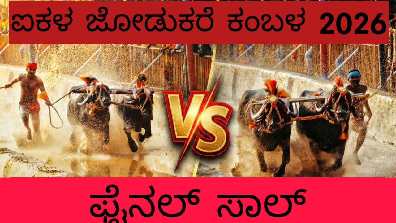 Final Race ಫೈನಲ್ ಸಾಲ್ // ಐಕಳ ಕಂಬಳ// Aikala Kambala live today 2026||