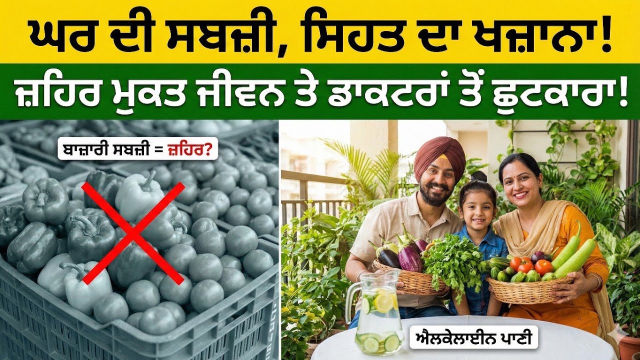 ਘਰ ਵਿੱਚ ਜ਼ਹਿਰ ਮੁਕਤ ਸਬਜ਼ੀਆਂ ਕਿਵੇਂ ਉਗਾਓ? ਸਿਹਤਮੰਦ ਜੀਵਨ ਦੇ ਗੁਪਤ ਨੁਸਖੇ! Organic Gardening & Health Tips