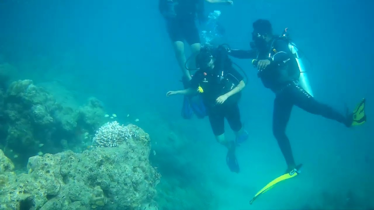 Scuba diving in Havelock..