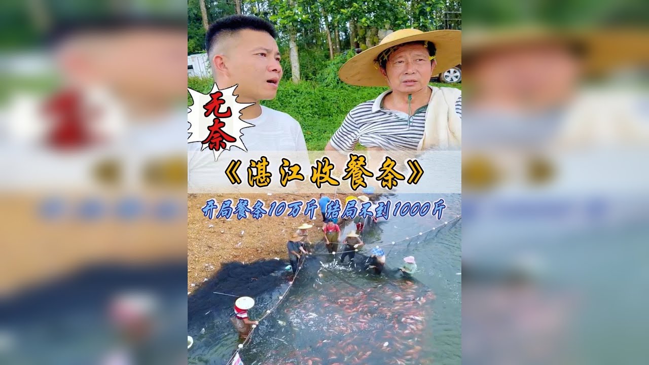 湛江收鱼大翻车！10万斤餐条变几百斤，神秘红鱼却数不胜数