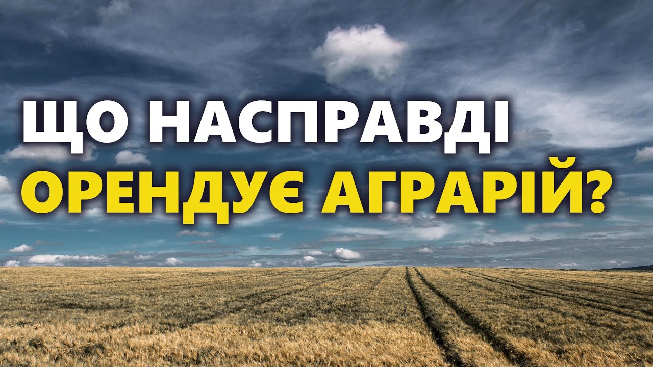 Не хочете вкладатися в чужу землю? А що насправді орендує аграрій? Гектар! Бонітет! Родючість!