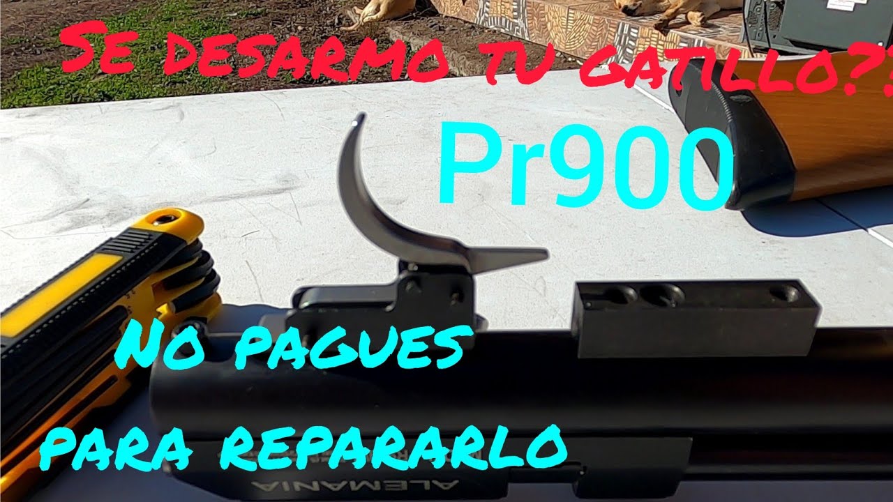 desarme y armado de gatillo pr900
