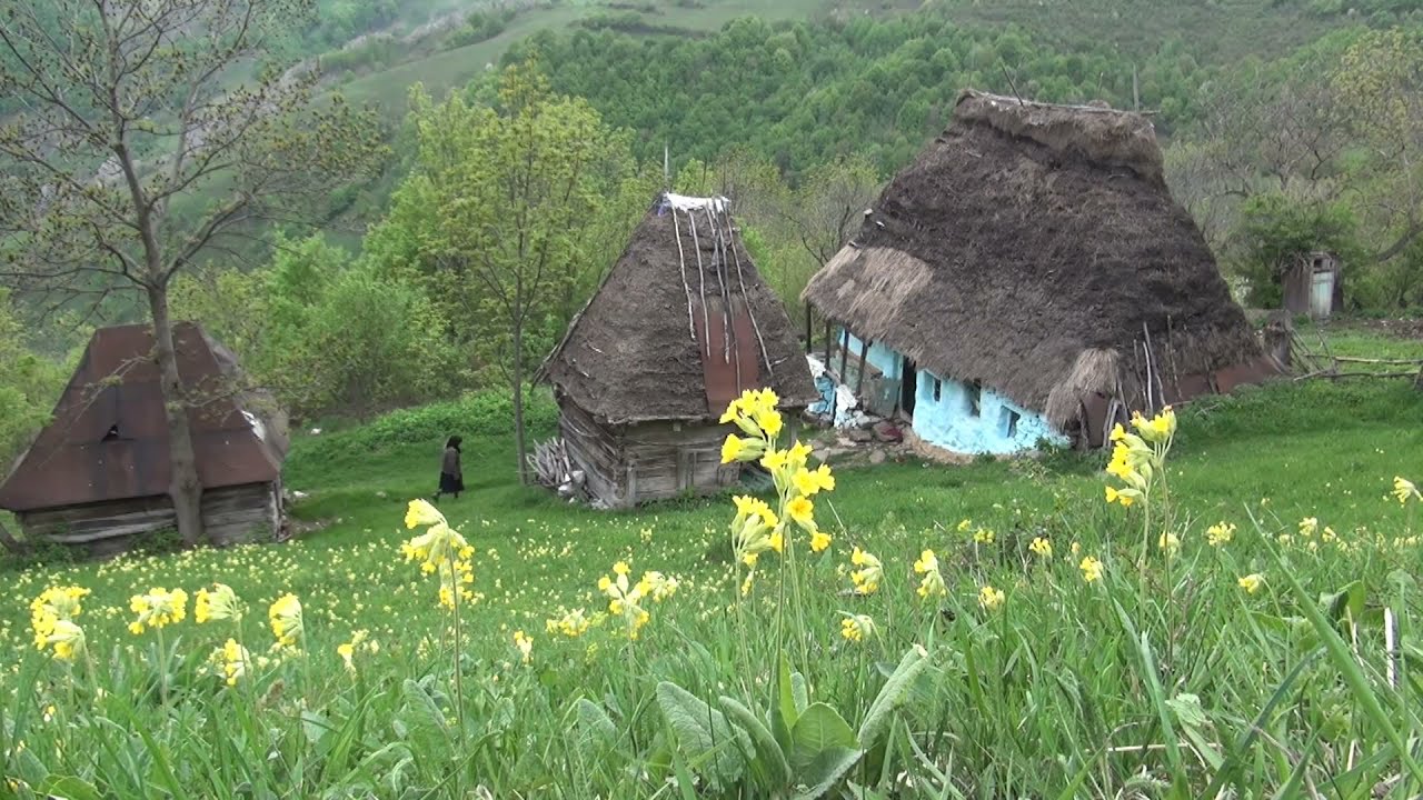 Undeva in Apuseni 19